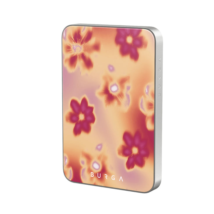 AR_04MS_MagPbank5K-SI