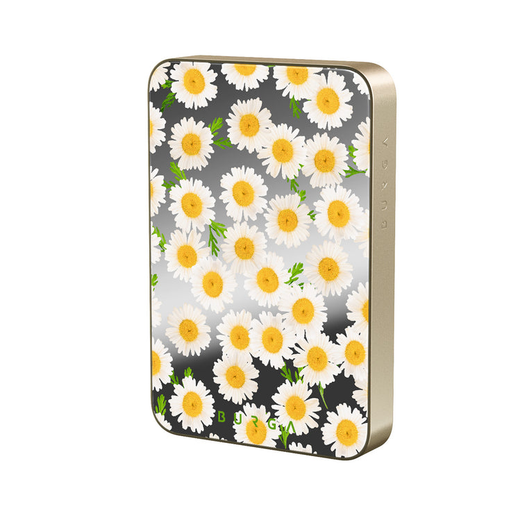 BA_02MS_HALO-MagPbank10K-GO