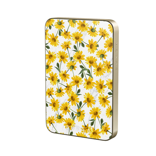 BA_07MS_MagPbank5K-GO