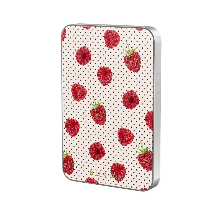 CP_04MS_MagPbank5K-SI