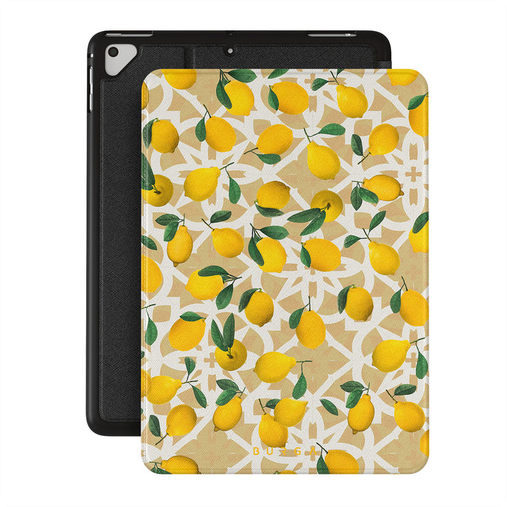 LL_01IP_iPAD_9.7