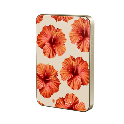 RS_10MS_MagPbank5K-GO