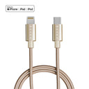 USB-C naar Lightning / Goud